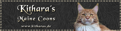 Banner Kitharas_500x130px02