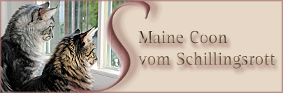 Banner vom schillingsrott_500x130px02