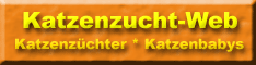katzenzucht-web-banner